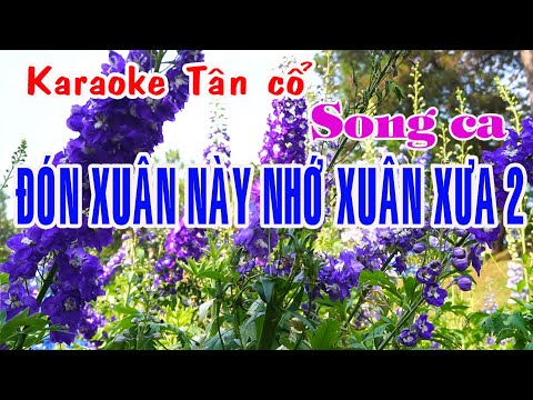 Karaoke tân cổ ĐÓN XUÂN NÀY NHỚ XUÂN XƯA 2 – SONG CA