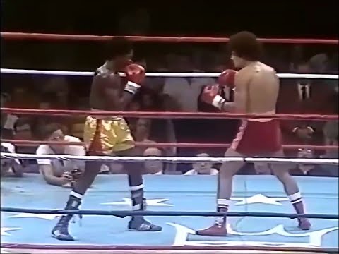 Salvador Sanchez Vs Azumah Nelson Highlights (WBC Title)