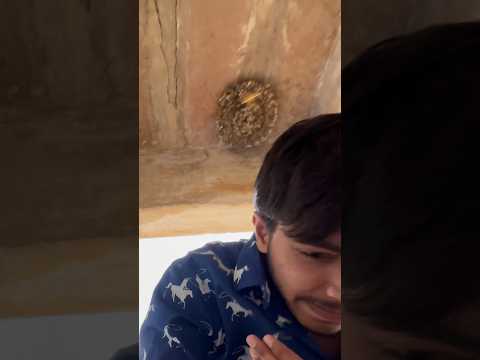 भूतिया घर में यह क्या है?