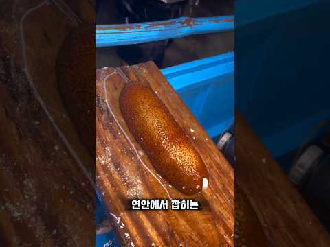 필리핀에서 버린 이것 일본에선 별미로 먹습니다