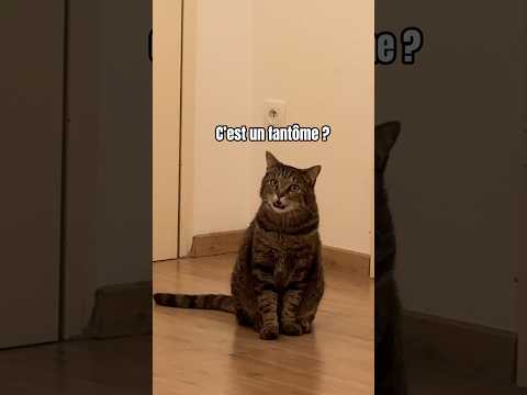 Il a eu super peur 😅