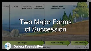 Kinds of Succession