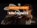 Videoaula Sinônimos - Solos - Parte 1