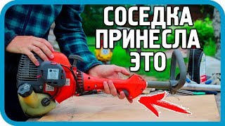 видео