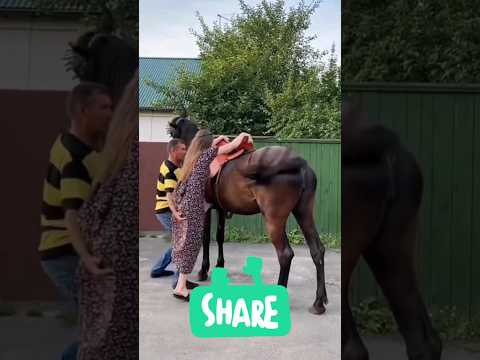Духтара кунша капид асп изо кашид