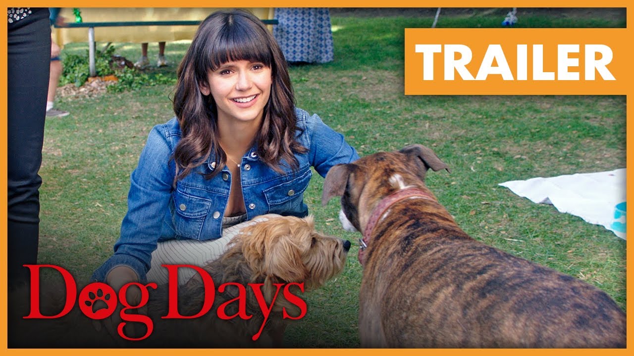 Dog Days trailer thumbnail