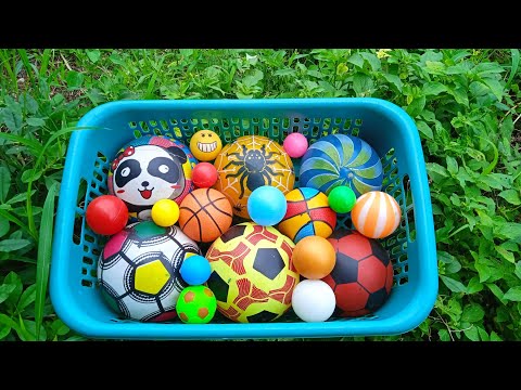 Mencari Bola Sepak, Bola Warna Warni, Bola Basket, Bola Karakter, Truk, Balon, Ikan, Telur Kejutan