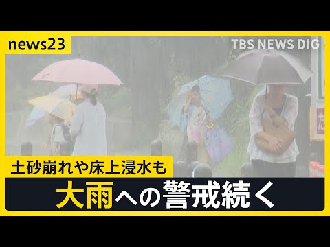 梅雨空戻った日本列島　各地でゲリラ豪雨…奈良公園のシカも“雨宿り” 台風2号→熱帯低気圧に変わる見込みも大雨に要警戒　7月～9月の“気温は高い”予報【news23】｜TBS NEWS DIG