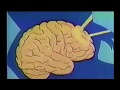 Understanding Human Instincts and Stress Responses
