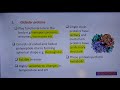 Prions and Protein Structure Concepts