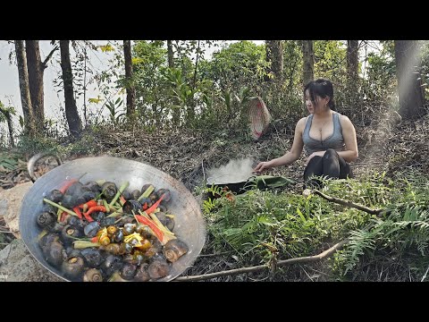 Rừng nhiệt đới | Super spicy stir-fried snails with lemongrass and chili: surviving alone outdoors