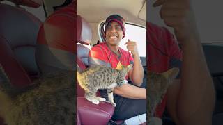 القطة الذكية 😂🐱