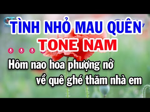Karaoke Tình Nhỏ Mau Quên Tone Nam ( Dm ) Nhạc Sống Cha Cha Cha Dễ Hát | Đồng Sen