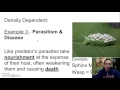 Exploring Limiting Factors and Carrying Capacity