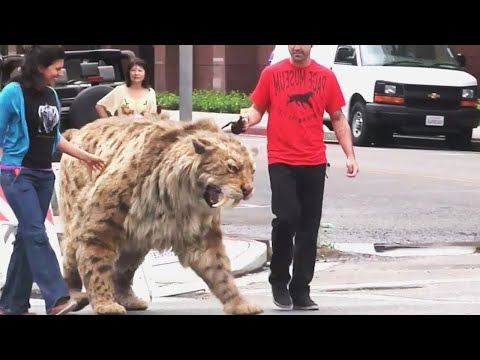 10 Animals That Came Back From Extinction