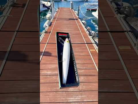 ⚠️😱RAPALA 70cm Y MÁS DE 1,5KG DE PESO😱⚠️ #fishing #pesca #shortvideos #fish #shorts #foryou