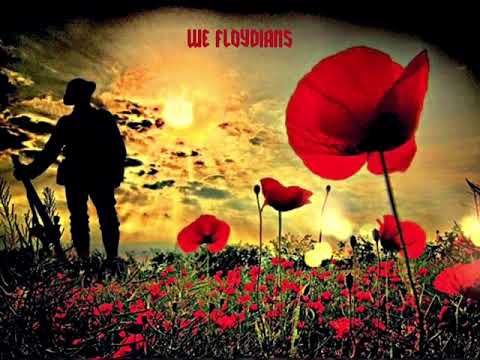 Pink floyd - The Gunners Dream | Lyrics