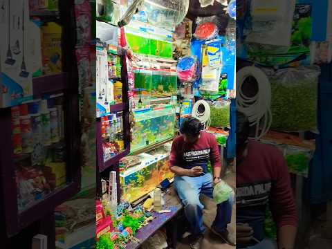 Aquarium Pet Shop in Kolkata