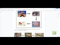 Effective Teaching Strategies for Science Education