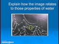 Properties of Water and Its Effects
