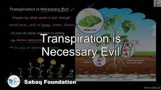Transpiration is Necessary Evil