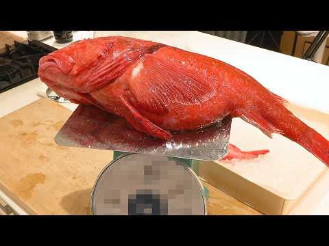 【超激レア魚】なんじゃ！？この魚は？？？？？？？