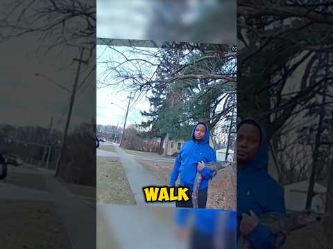 Man Gets Arrested For walking a Alligator 🤣