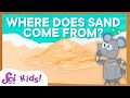 Understanding Insect Behavior and Coding