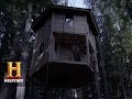 Treehouse Design and Features