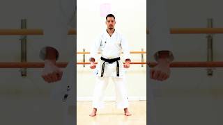 Kata Wankan | Shotokan Karate 🥋⛩️