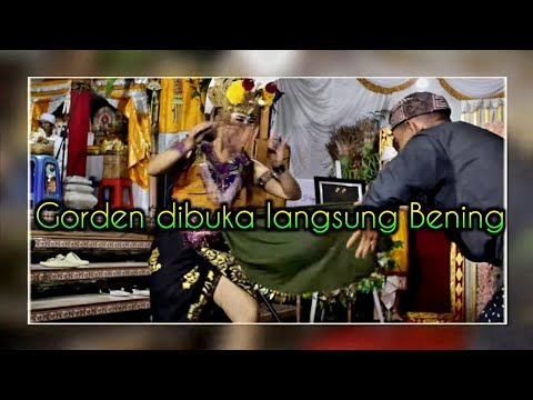 GORDEN nya dibuka langsung bening mengkilat || SKJ Widya Semara Murti