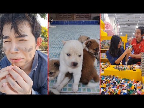 Super Funny Shorts VDO‼️😆🥰  | JJaiPan Shorts Compilation #shorts