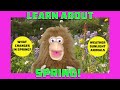 Exploring the Wonders of Spring: Weather and Wildlife