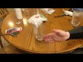 Simulating Atmospheric Conditions Experiment