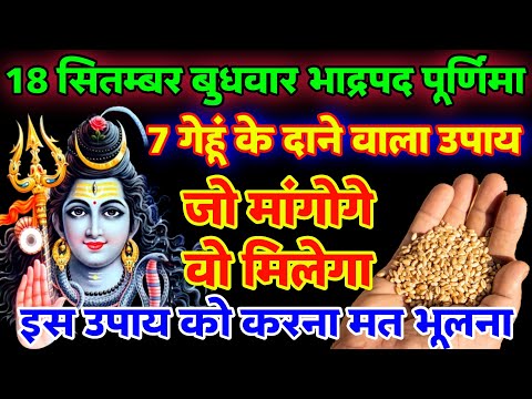 18 सितंबर बुधवार भाद्रपद पूर्णिमा को 7 गेहूं के दाने वाला उपाय जरूर करें || Pradeep Ji Mishra