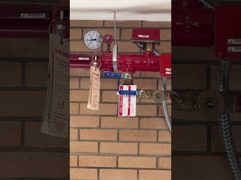 🤫 Sprinkler System SECRETS: What's going on here!