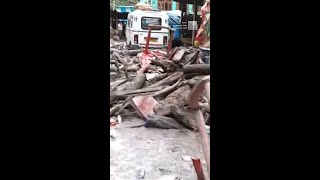 Intense Rain Has Deadly Results In India, Pakistan