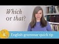Understanding 'Which' vs 'That'