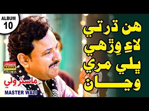 Hin Dharti Lai Wirhi Wirhi | Master Wali | Album 10 | Bahar Gold Production