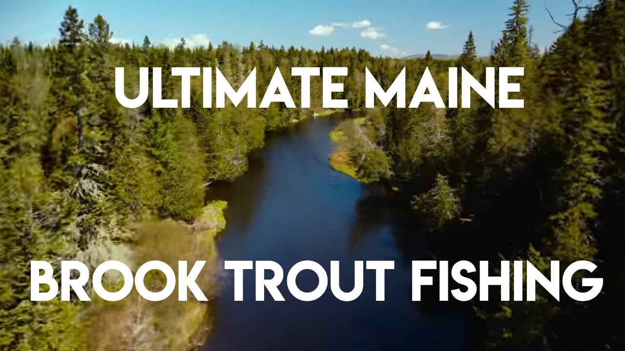 Ultimate Maine Brook Trout - The New Fly Fisher