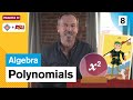 Exploring Polynomial Multiplication and Factoring Techniques
