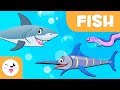 Fish Biology and Behavior