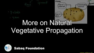 More on Natural Vegetative Propagation