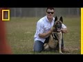 Understanding the Role and Rehabilitation of Military Dogs