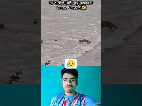 মা সর্বোচ্চ চেষ্টা তবু সন্তানকে ফেরাতে পারেনি!😢 #viralvideo #shorts #trending #sad