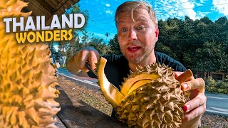 Thailand Wonders: Surat Thani to Nakhon Si Thammarat on Motorbike with Amazing Thai Food