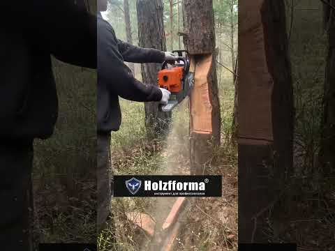 Бензопилы HOLZFFORMA в Алматы — мощные, надежные и удобные инструменты для любой работы с деревом!