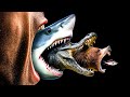 Roles and Relationships in Ecosystems
