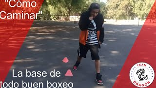 Tutorial Caminata de el Boxeo