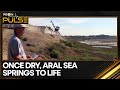 Aral Sea Environmental Impact Assessment